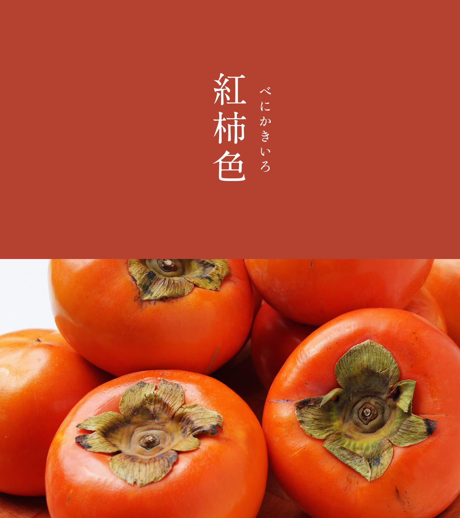 紅柿色