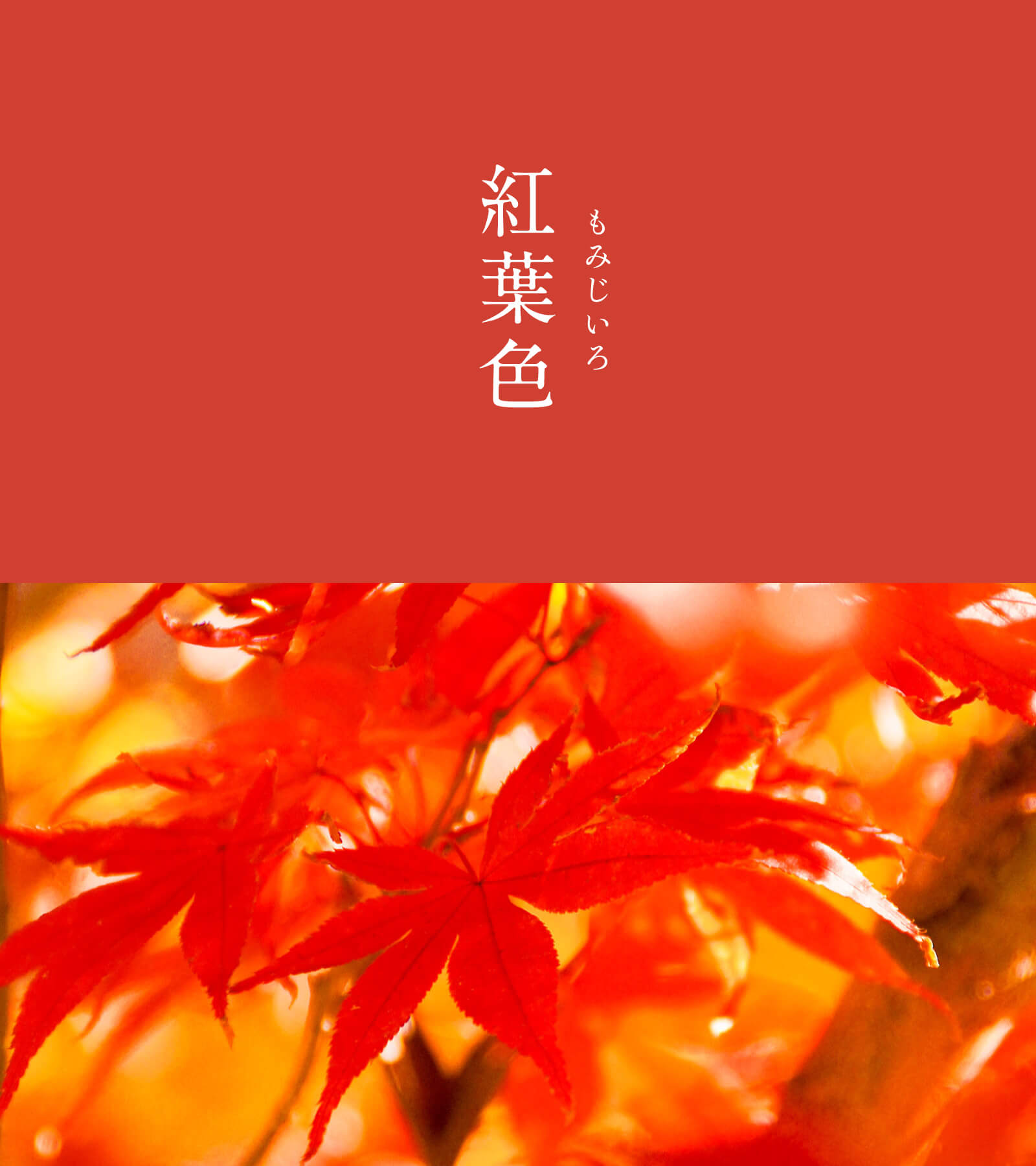 紅葉色