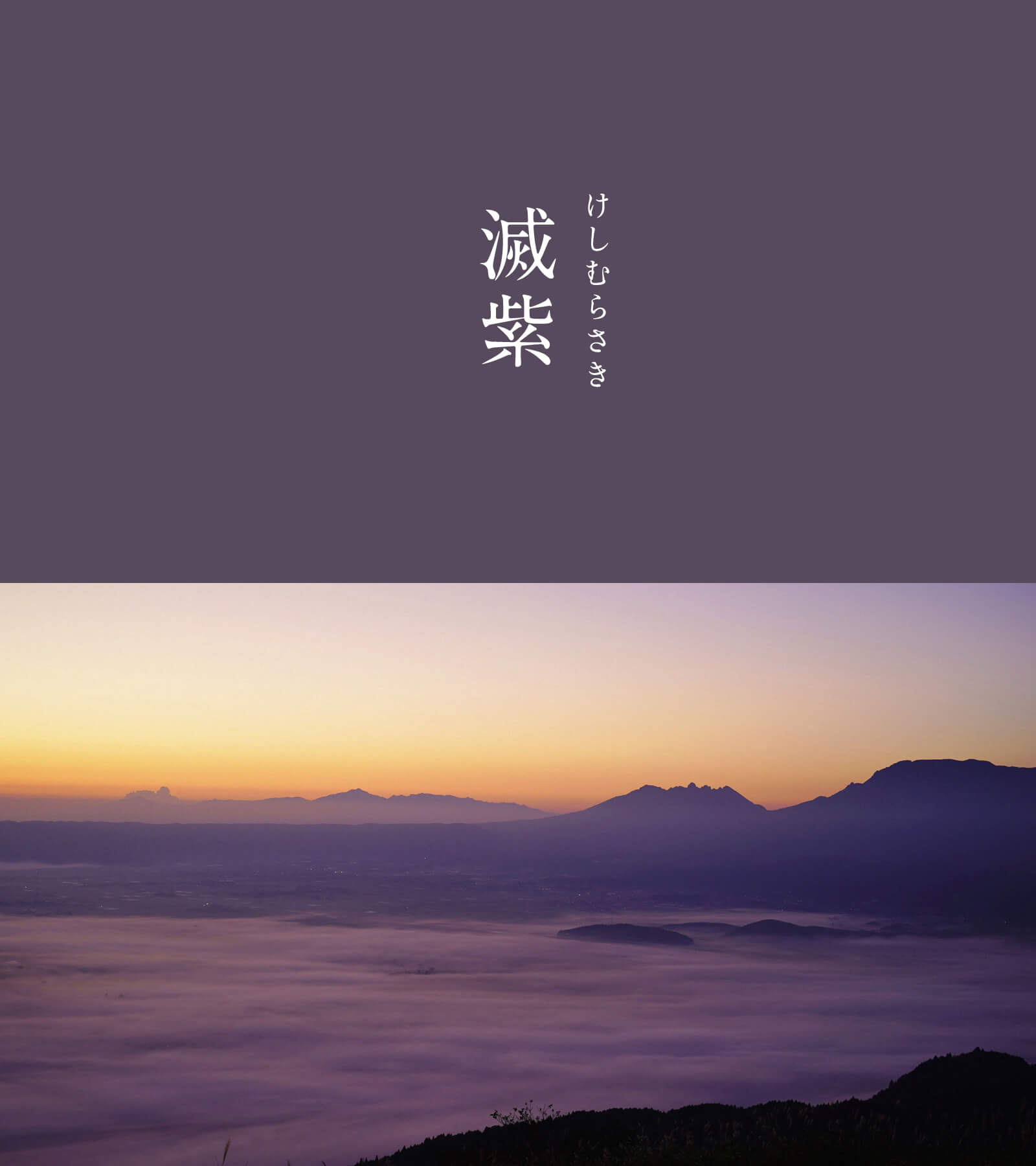 滅紫