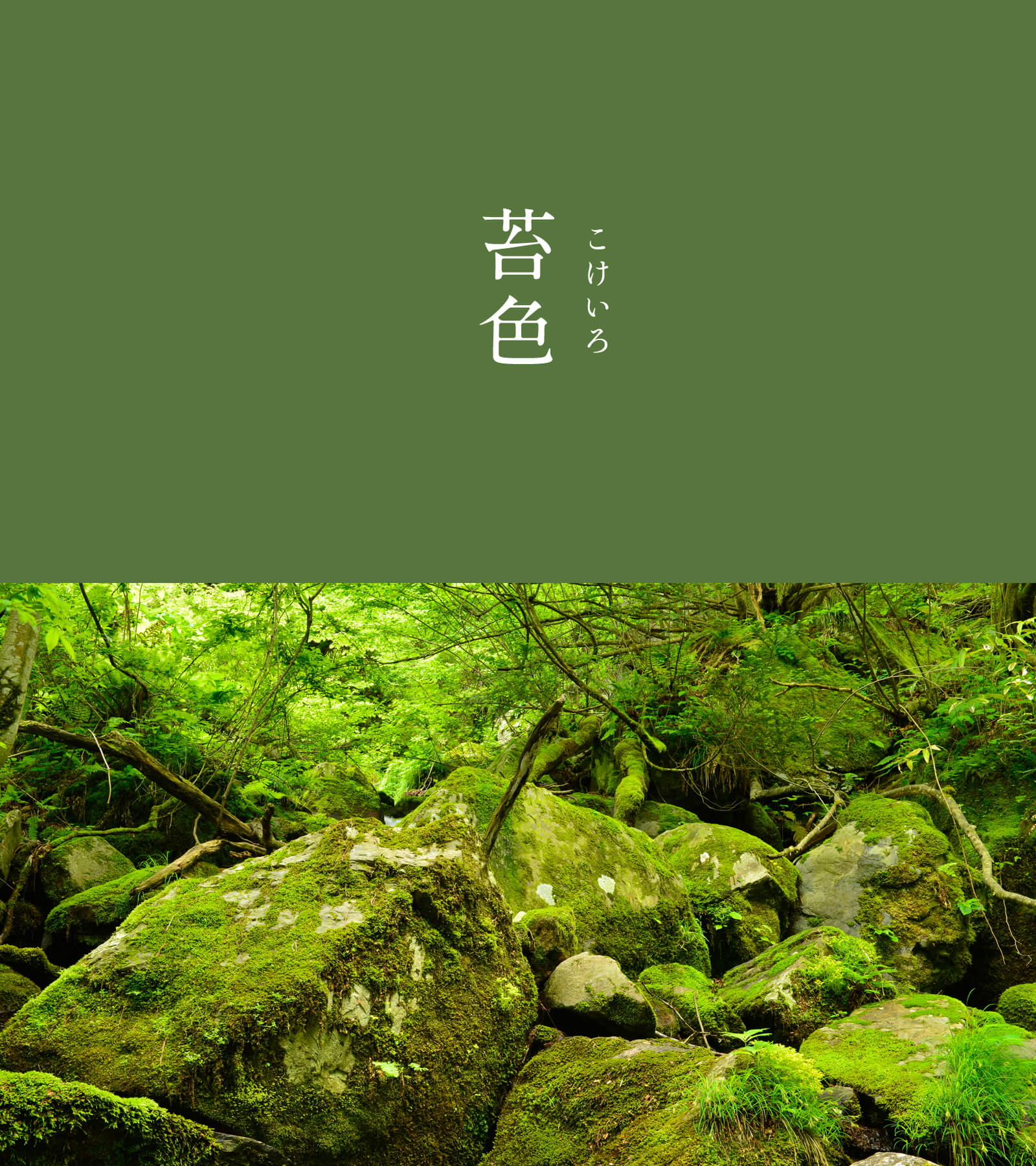 苔色